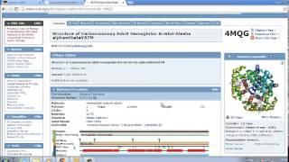 Week10 3D Structure Prediction  PDB and foldit