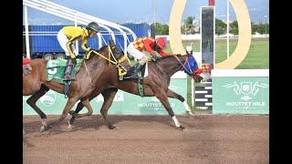 JAMAICA RACING: Answer My Prayers Gets Home In Sun, Sept 29, 2024, 7th