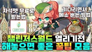 챌린저스월드 알차게 기다리는 방법! (할게 없다면 반드시 보세요.)