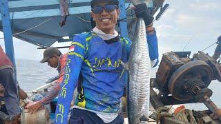 mancing tenggiri #shorts