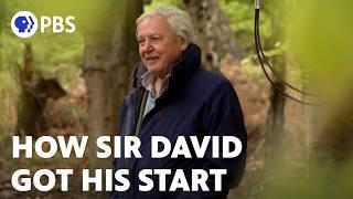 How Sir David Attenborough Got His Start