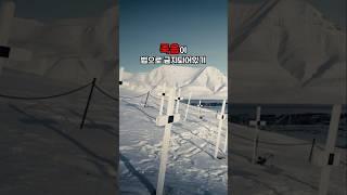 세계에서 유일하게 죽음과 고양이가 금지된 마을