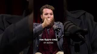 Пасечник рассказал как пчёлы делают пчелиную пыльцу