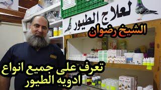 اكثر انواع الامراض التي تصيب الحمام تعرف على العلاجات مع معالج الطيور رضوان يوسف