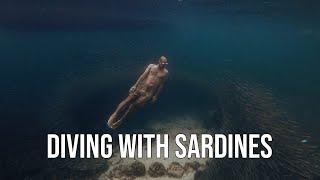 Moalboal - Diving with sardines and canyoning