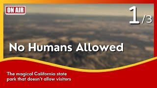 【當日免費】 (12/12) No Humans Allowed 無人之境