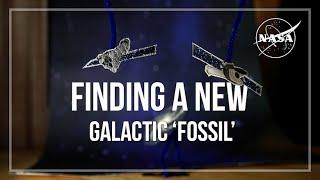 Finding a New Galactic "Fossil"