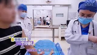 闪闪的儿科医生第二季   第五集  05  被忽视的大象