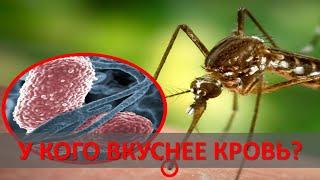 ПОЧЕМУ КОМАРЫ КУСАЮТСЯ: Кого чаще всего кусают комары?