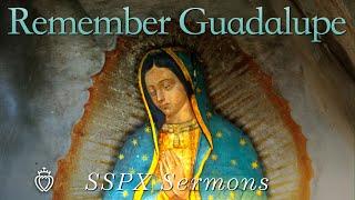 Remember Guadalupe - SSPX Sermons