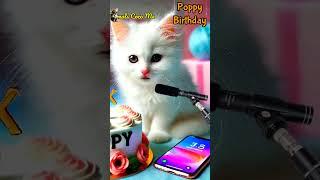 POPPY BIRTHDAY | HAPPY BIRTHDAY SONG WITH NAMES | Adorable Cute Cat   #happybirthday #cat