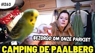 #263 BEZORGD OM ONZE PARKIET I Camping de Paalberg Ermelo