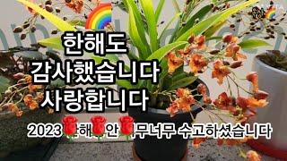 #2023 #잘가 여러분과 함께여서 행복했던 해였습니다 #감사합니다