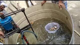 Working of Seabin #seabinproject #workingofseabin #prototypeseabinmodel #waterwastemanagemet