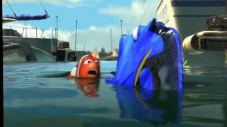 Finding Nemo - DUCK!!!