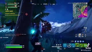 So worth getting a crown for #fortnite #softlycubicle #fyp