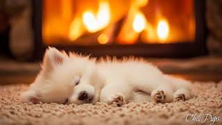 Peaceful Sleep for Dogs  Separation Anxiety Relief  Healing Music for Dogs 