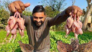 Special Quail Karah | Batair Karahi Recipe بٹیر کی کڑاہی Batair Korma  karahi