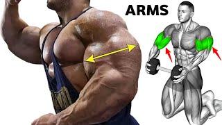 6 Best Workout To Get Big And Perfect Arms _ Do This Workout For Major Arm Growth