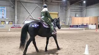 Top Gun Freestyle. Cowboy Dressage