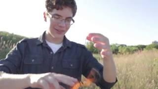 So Much Life at the Urban Ecology Center!