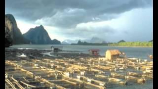 Sustainable Fisheries and Aquaculture -- Rio+20 and beyond