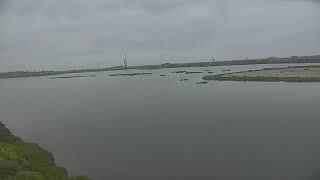 Bolsa Chica Land Trust Live Stream