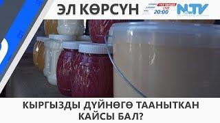 КЫРГЫЗДЫ ДҮЙНӨГӨ ТААНЫТКАН КАЙСЫ БАЛ?\\ЭЛ КӨРСҮН