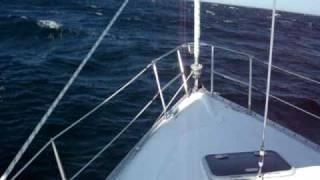 Fast Sailing Beneteau 331 Nepenthe to Provincetown