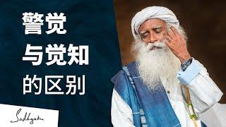 警觉与觉知的区别 | 萨古鲁 Sadhguru