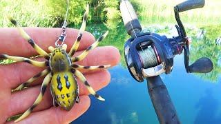 The Giant Spider Lure Bass Fishing Challenge!