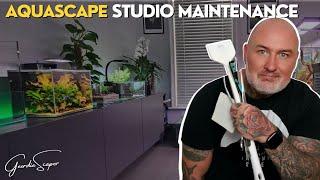 AQUASCAPE MAINTENANCE In 6 Easy Steps