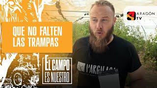 Que no falten las trampas en el huerto de Sope