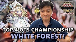 Top 4 OTS Championship Runick White Forest Deck Profile Ft. Qi! | POST INFO | NAWCQ Feature Match