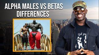 Alpha vs Beta Male Tactics - KEY DIFFERENCES