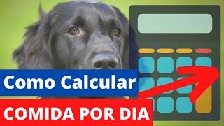 Como calcular a quantidade diária de comida natural passo a passo