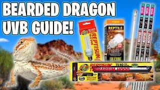 Bearded Dragon lighting Setup! How to Setup Bearded Dragon lights!