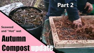 Autumn Seaweed Composts Part 2