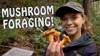 Picking Fall WILD EDIBLE MUSHROOMS in Pacific Northwest!