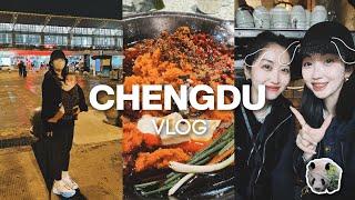 CHENGDU VLOG｜惊喜回国！成都的安逸生活～每天早上一碗面｜和踢娜腾哥去看大熊猫｜五里关火锅｜大慈寺喝茶｜竹园火锅兔｜文殊坊围炉煮茶