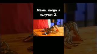 мама когда я получил 2 .#врек #shorts #vanzai