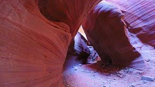 Utah: Red Cliffs, Toadstools, White Pocket, Vermilion Cliffs, Grand Staircase-Escalante, etc.