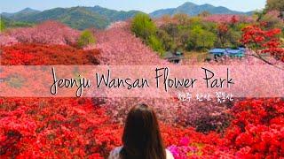 Jeonju Wansan Flower Park | 전주 완산 꽂동산 