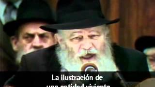 El Rebe de Lubavitch: Vivir la Torá