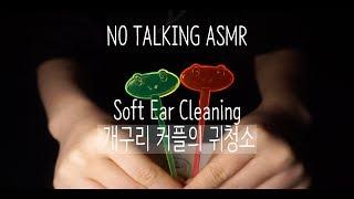 [NO TALKING ASMR] 개구리 커플의 귀청소 | Soft Ear Cleaning