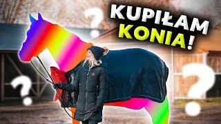 KUPIŁAM KONIA! ️ | Marzenie spełnione 