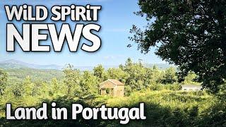 Abschluss in Deutschland, Neubeginn in Portugal | Wild Spirit Land Vlog #11 - Der erste Sommer