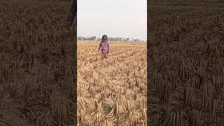 Bishal Kumar 8090