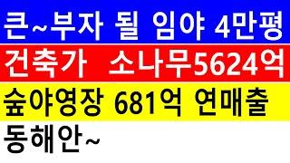 큰 부자 될 임야 소나무5624억원 낮고완만 1억(43억짜리) 4만평 계획관리 자연인 전원생활 숲6차산업 숲경영 약용재배 대박장사~오리주물럭 땅과함께(새희망을)경매임야 공매임야