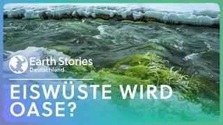 Ist die Antarktis bald eine grüne Oase? | Doku | Earth Stories Deutschland